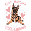 Berger Allemand Chiens Malinois