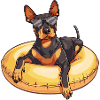 Doberman Dog Summer Comic