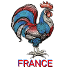 France coque gockel