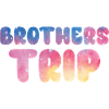 Sibling Brothers Journey