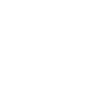 Guépard