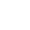 Bison Buffalo