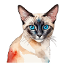 Chat siamois Aquarelles
