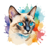 Siamkatze Wasserfarben