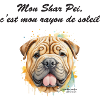 Shar Pei rayon de soleil