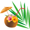 Sun cocktail des îles