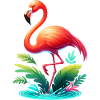 Flamingo