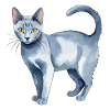 Chat bleu russe Aquarelle