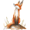 Amused Fox