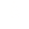Plant minimalist