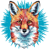 Fox - Illustration