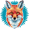 Fox - Illustration