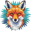 Fox - Illustration