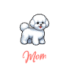 Bichon Frisé Mama