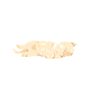 Life Saying Golden Retriever