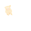 Mädchen Frau Golden Retriever