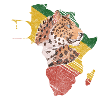 Culture Animal Welfare