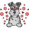 Schnauzer nain Chien Schnauzer