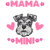 Miniature Schnauzer Dog Schnauzer