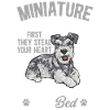 Schnauzer nain Chien Schnauzer