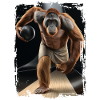 Orang-Utan spielt Bowling Geschenk