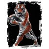 Tiger spielt Bowling Geschenk