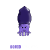 you gotta to be squidding