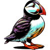 Papageitaucher