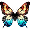 Papillon