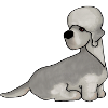 DandiePepper