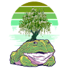 Frog Frogs Toad Toads