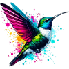 Colibri