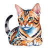 Bengalkatze Wasserfarben