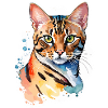 Bengalkatze Wasserfarben