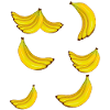 Banana Banana Fruit Fruit Exotic