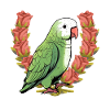 Parrots Parrot Birthday Roses Bird