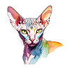Sphynx Katze Wasserfarben