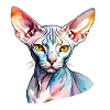 Sphynx Chat Aquarelles