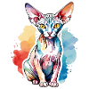 Sphynx Chat Aquarelles