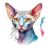 Sphynx Chat Aquarelles