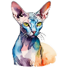 Sphynx Chat Aquarelles