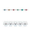 Braces orthodontist