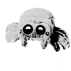 Spider, tarantula illustration, gray
