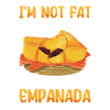 Mexican Venezuelan Empanada