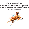 chasseur de calin