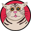 Chat étrange