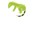 Iguanian Reptile Lover Herpetologist