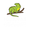Iguanian Reptile Lover Herpetologist