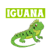 Iguanian Reptile Lover Herpetologist