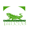 Iguanian Reptile Lover Herpetologist